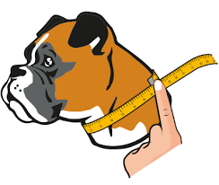 This is a general piece of advice on how to properly measure your dog's neck before you buy a collar. Dog Collar Sizing Gotags