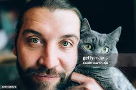 894 White Cat Green Eyes Stock Photos, High-Res Pictures, and Images