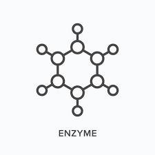 2,800+ Enzyme Stock Illustrations, Royalty-Free Vector Graphics & Clip Art  - iStock | Molecule, Dna, Digestive system