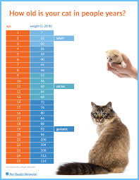 Expert Purina Dog Age Chart Dog And Human Years Chart Boxer