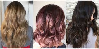 2017 merupakan tahun ayam api bagi astrologi china. 8 Warna Rambut Ini Bakal Jadi Tren Di Tahun 2017 Tampil Cantik