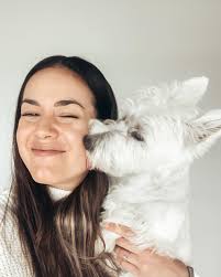 Good boy Baxter (@westie_baxter) • Instagram photos and videos