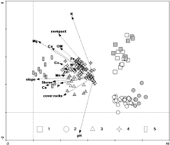 Image result for Tristachya bequaertii