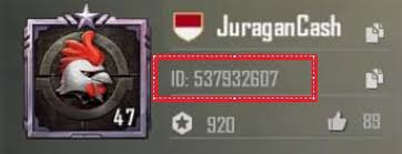 Promo is until december 5, 2019. Cara Redeem Razer Pin Ke Uc Pubg Mobile Juragan Cash Voucher Game Termurah Terlengkap Di Indonesia