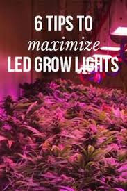 A wide variety of grow lights for plants indoors options are available to you, such as lamp body material, ip rating. 180 Led Grow Lights Ideas Led Grow Lights Grow Lights Led Grow