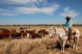 República del paraguay re'puβlika ðel pɑɾɑ'ɣwaj; Unsere Zeit Im Chaco Deutsche Kolonien In Paraguay Unser Abschlussfilm In Sudamerika