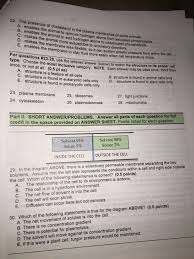 We did not find results for: The Presence Of Cholesterol In The Plasma Membranes Chegg Com