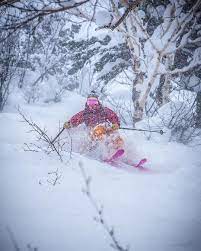 When Skiing In Japan Always Look At The Spaces Never The Trees Sassjapan Japanuary Japow Getsomesass Skiing Skiing Skiing Photography Ski Inspiration
