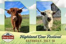 Highland Cow Festival