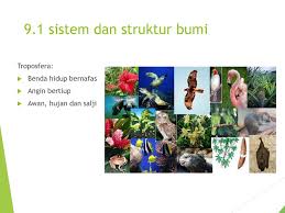 Bumi sistem fizikal & struktur bumi. Bab 9 Bumi Ppt Download