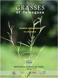 Image result for Enteropogon monostachyos