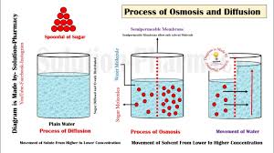 Apr 25, 2020 · homeostasis is an organism's process of maintaining a stable internal environment suitable for sustaining life. Osmosis And Diffusion Simple Explanation Via Powerpoint Animation Hindi By Solution Pharmacy Youtube