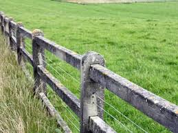 What other such phrases do they use on a regular basis? The Phrase The Grass Is Always Greener On The Other Side Of The Fence Meaning And Origin