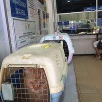 Best dining in kuala terengganu, terengganu: Klinik Veterinar Kuala Terengganu