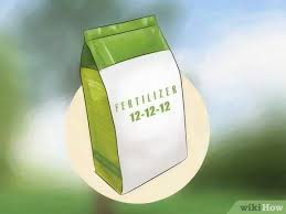 Not all fruit trees need fertilizer every year and they don't need it in the same amounts. How To Fertilize Fruit Trees 13 Steps With Pictures Wikihow