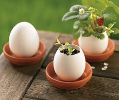 We did not find results for: 22 Kerajinan Tangan Unik Dan Cara Membuatnya