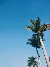 Oct 19, 2019 · ide 30+ gambar paris kartun. Langit Cerah Langit Langit Biru Awan