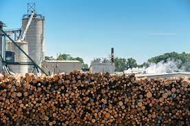 Over 86,000 people in kamloops and there isn't a reddit for it, well now there is. Forest Industry In B C Shrinks By 31 Per Cent In 2019 Radio Nl Kamloops News