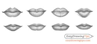 To practice, draw the skull from at least 10 different angles using references to render the shape and anatomy. How To Draw Different Types Of Lips Easydrawingtips