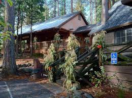 There is a restaurant and bar and. Evergreen Lodge At Yosemite Updated 2021 Prices Hotel Reviews Groveland Ca Tripadvisor