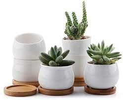 Amazon Com T4u 2 5 2 75 2 75 Inch Ceramic White Collection No 31 Succulent Plant Pot Cactus Pla Succulent Planter Ceramic Succulent Planter Cactus Plant Pots