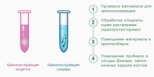 يمكن القيام بعملية التلقيح الاصطناعيّ داخل المنزل، وغالباً ما يتمّ ذلك باستخدام عملية التلقيح داخل عنق الرحم، وتتميز عمليّة التلقيح في المنزل بوجود الخصوصيّة، حيث يتم أخذ عينة من السائل المنوي للرجل بشكل مباشر ليتمّ حقنها داخل عنق الرحم باستخدام أداة الحقن المخصصة. Ø§Ù„Ø­ÙØ¸ Ø¨Ø§Ù„ØªØ¨Ø±ÙŠØ¯ Ù„Ù„Ø­ÙŠÙˆØ§Ù†Ø§Øª Ø§Ù„Ù…Ù†ÙˆÙŠØ© Ù…ÙƒØ§Ù† Ø§Ù„ØªØ®Ø²ÙŠÙ† Ø§Ù„ØªØ¬Ù…ÙŠØ¯ ÙƒÙ… ÙŠÙƒÙ„Ù Ø§Ù„Ø¥ÙŠØ¯Ø§Ø¹ Ù…Ù‚Ø§Ø¨Ù„ Ø§Ù„Ø¥Ø®ØµØ§Ø¨ Ø§Ù„Ù…Ø¨ÙƒØ± Ù„Ù„Ø¨ÙŠØ¶