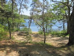 My friends and i always reserve campsites around charge pond, one of the four ponds you can camp at in the forest. Curlew Pond Myles Standish State Park Mapio Net