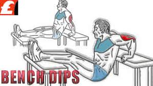 Tricep Bench Dips Arkakol Fitness Hareketi Bodyforumu Com
