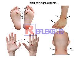 Titik Refleksi Untuk Mengobati Radang Amandel Dengan Mudah Cara Mengobati Amandel Dengan Pijatan Titik Akupresur