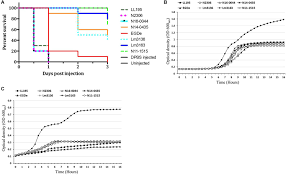 Frontiers Variable Carbon Source Utilization Stress