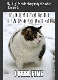Baby Its Cold Outside Meme By Multiplemigs Memedroid
