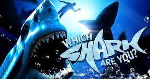 Kids might choose to enter questions about their favorite cartoon characters, cartoons or popular motion picture plots. Shark Week Prep How Much Do You Know About Sharks Brainfall