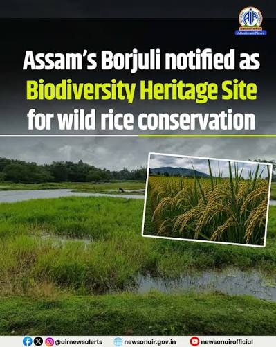 Borjuli Wetland and Oryza Rufipogon and Biodiversity Heritage Site
