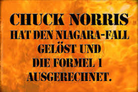 Make your own images with our meme generator or animated gif maker. Chuck Norris Spruch 23 Blechschild Schild Gewolbt Metal Tin Sign 20 X 30 Cm Ebay