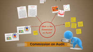 You will first have to pass the exam given by the hr then afterwards you will then be interviewd by the hr. Commission On Audit By Lovina Villa