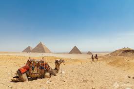 Nomads and bedouins still rely on camel's milk nutritional properties, while generations of tribes you can buy camel milk directly from desert farms website. The Best Egypt Pyramids Tour All The Options You Got