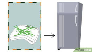 Thank you for supporting my site! How To Grow Dill With Pictures Wikihow