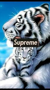 Iphone wallpapers find and download the best iphone wallpapers, from blue backgrounds to black and boss wallpaper joker hd wallpaper iphone wallpaper ios supreme wallpaper nike wallpaper. Hd Supreme Tigers Wallpapers Peakpx