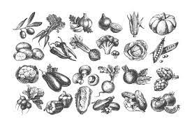 Sketch Vegetables Bundle Sale 50 How To Draw Hands Vegetable Illustration Sketches