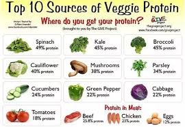 Can You Give Me A High Protein Indian Vegetarian Meal Plan That Is Under 1500 Calories Quora Though eating lots of protein may be beneficial, eating a balanced high protein foods for weight loss.