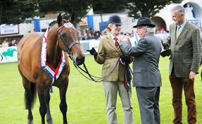 Family fairy tale in breeder finale