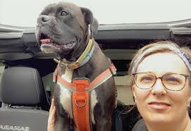 Michelle Postlewaite Lynn (@schellelynn3) • Instagram photos and videos