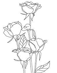 Naturaleza 25 Dibujos Faciles Para Dibujar Para Ninos Colorear Letras Acuarela Dibujos De Rosas Paginas Para Colorear De Flores