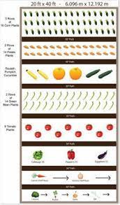 Pin By Danielle Barger On Healthy Living Vegetable Garden Planner Vegetable Garden Planning Garden Layout Vegetable
