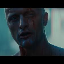 Google+ Demographics for Bosnia and Herzegovina