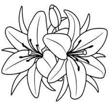 Possono essere più specifici ma non più definiti. Risultati Immagini Per Disegnare Fiori Stilizzati Disegno Fiori Disegni Di Uccelli Disegni