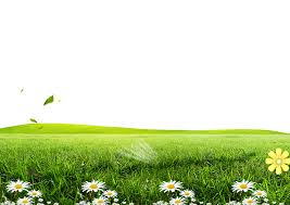 Tons of awesome png wallpapers to download for free. Green Lawn Poster Wallpaper Png Background Download Full Size Png Download Seekpng