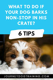 Maybe you would like to learn more about one of these? My Dog Barks Non Stop In His Kennel What Should I Do Journey Dog Training