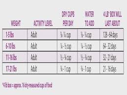 Dog Feeding Guide By Age Weight A Day Of Increased Physical