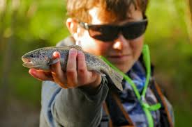 Man holding brown and black fish photo